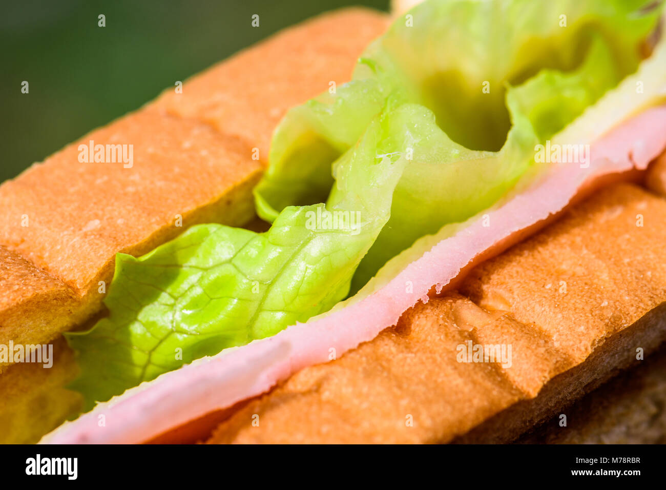 Essen, frische Sandwich Stockfoto