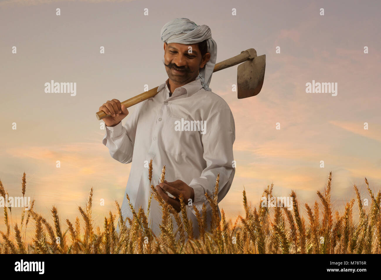 Happy farmer Kontrolle der Reis vor der Ernte Stockfoto