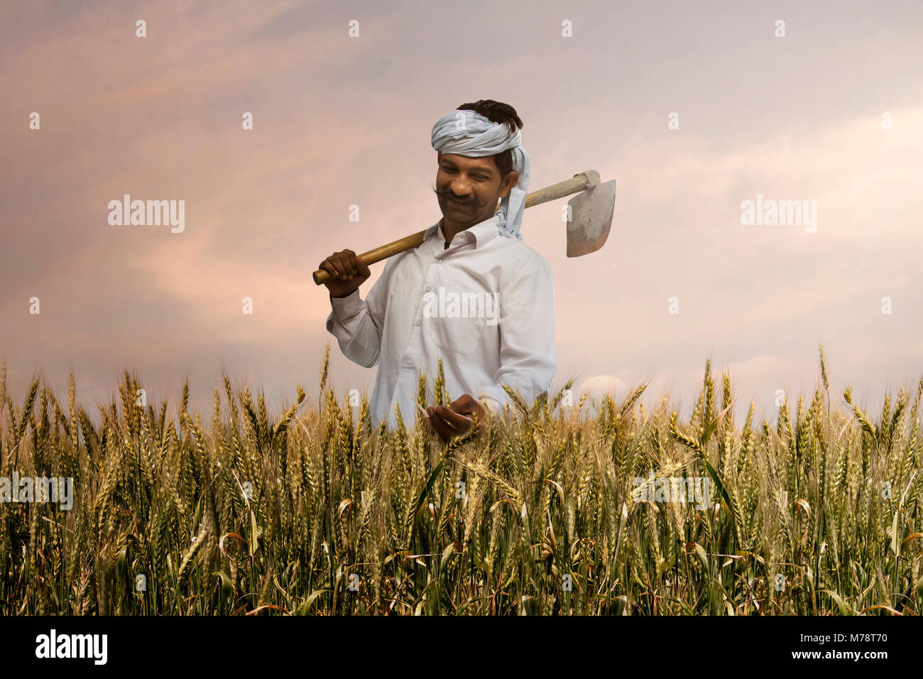 Happy farmer Kontrolle der Reis vor der Ernte Stockfoto