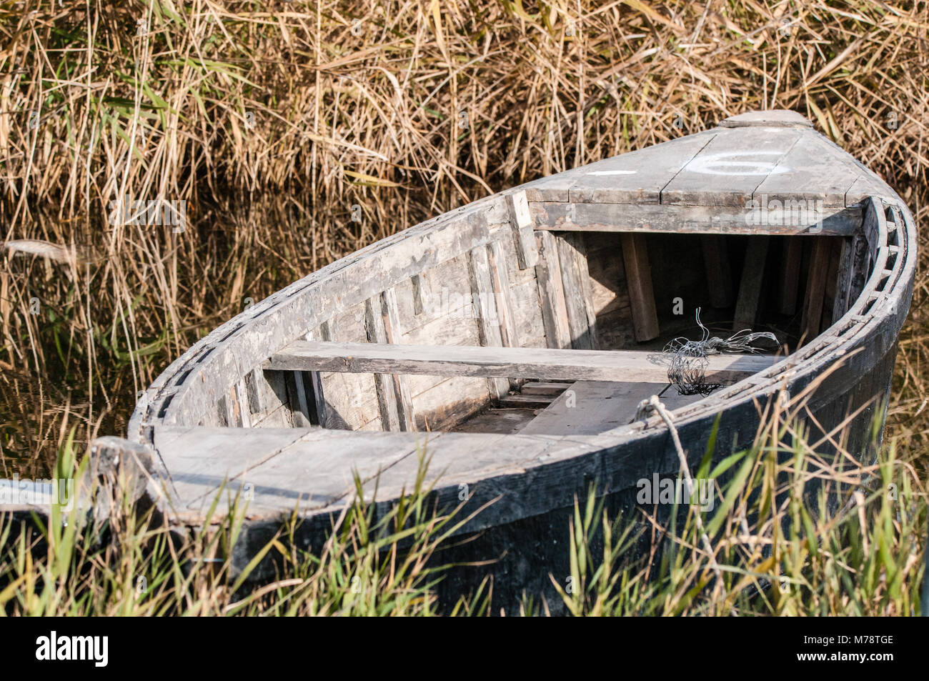 Boot schwimmend auf einem Bewässerungskanal, Ebro Delta, Katalonien, Spanien Stockfoto