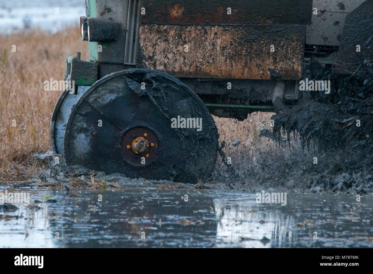 Traktor für Reis Bereich, im Winter Bühne für Überschwemmung des Geländes, den schlammigen zu begraben, die Stängel und Reste der Ernte. Ebro Delta, Katalonien, Spanien Stockfoto