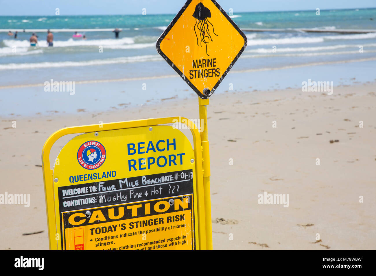 Strand Bericht Zeichen Warnung der marine Stingers, Four Mile Beach Port Douglas in Queensland, Australien Stockfoto