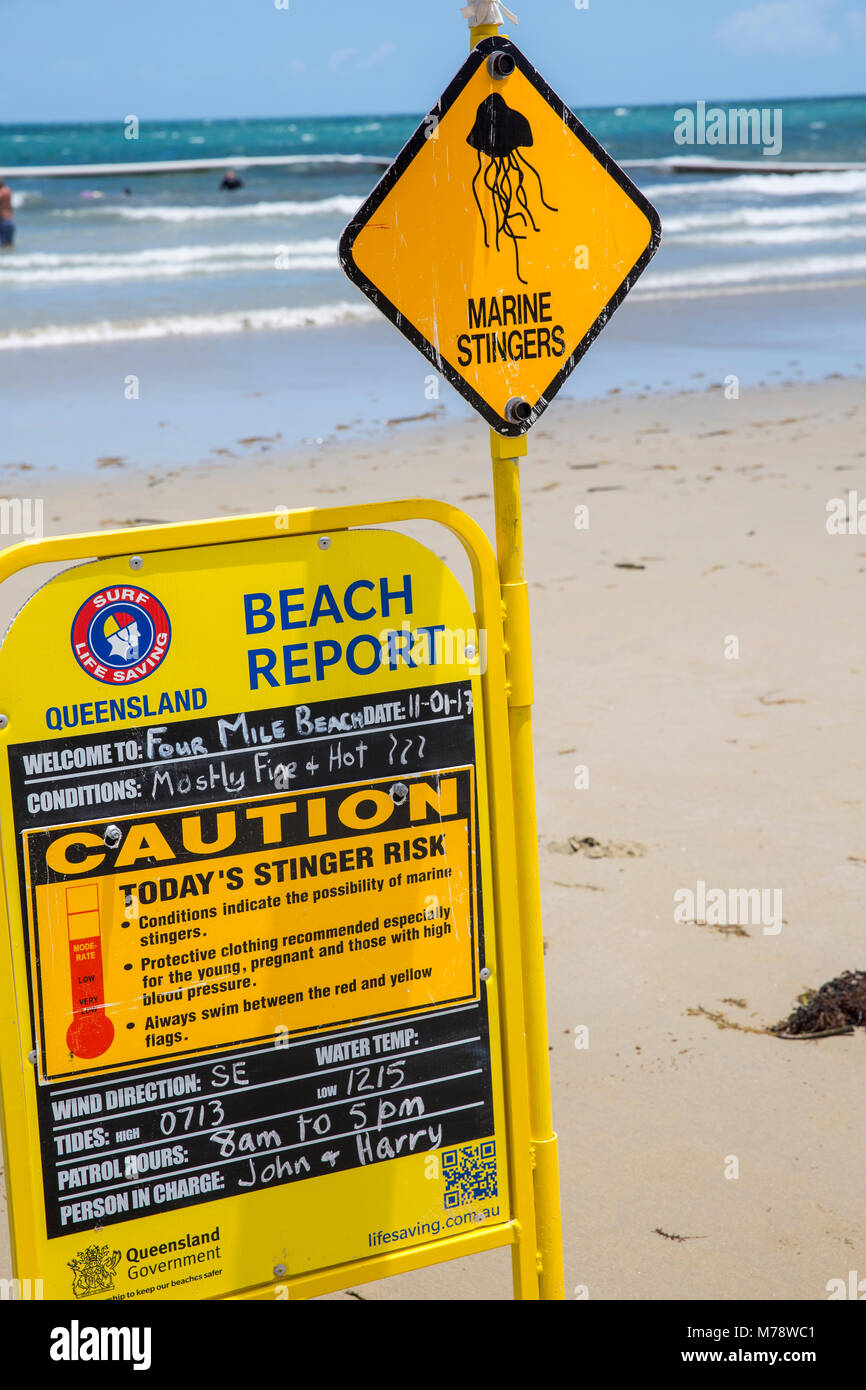 Strand Bericht und Warnung der Marine stingers auf Four Mile Beach in Port Douglas Queensland Stockfoto