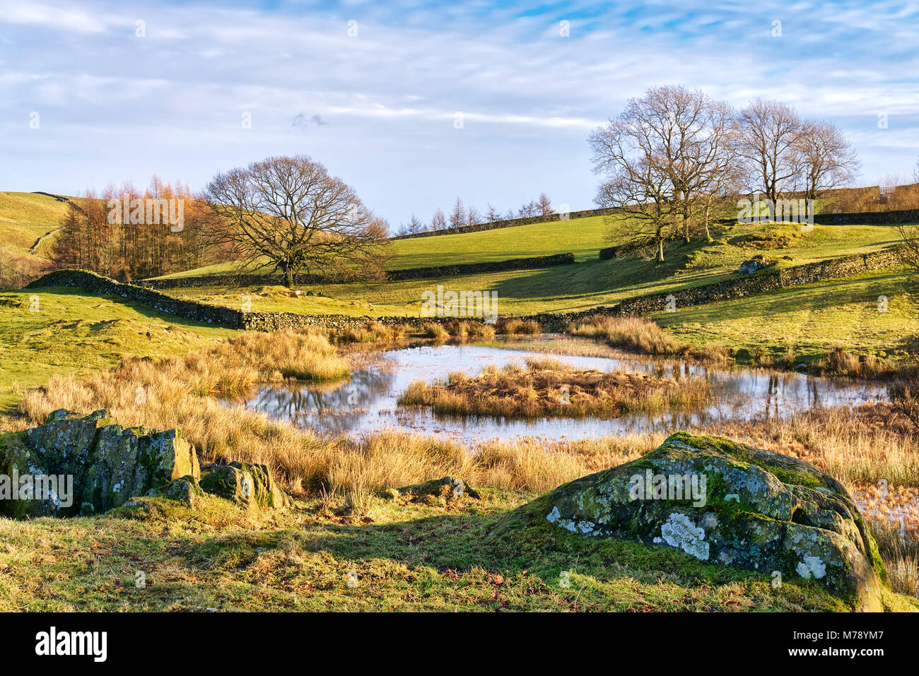 Ein großer Teich oder kleine Tarn von Felsen und Bäumen umgeben. Stockfoto