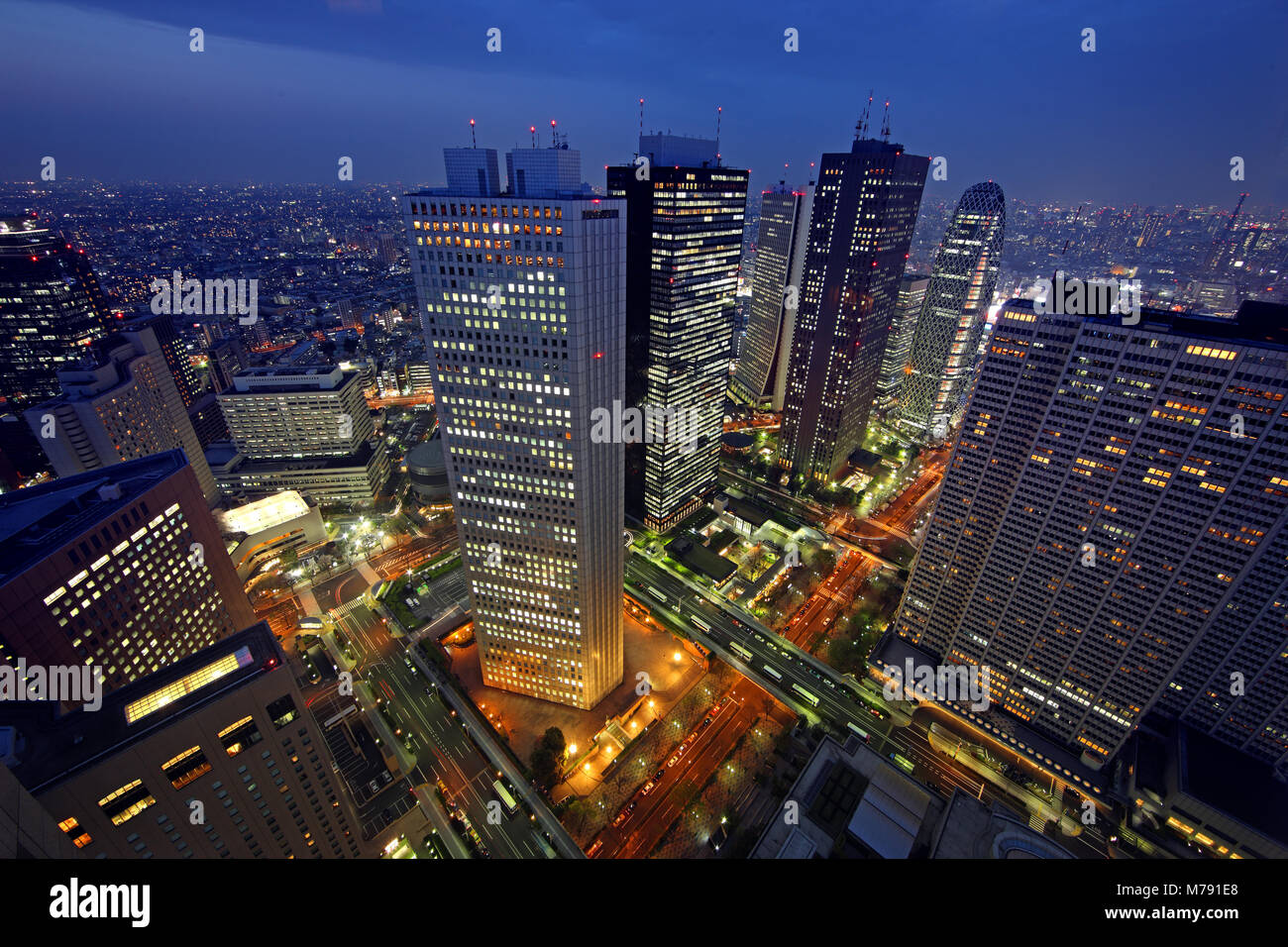 Blick vom Tokyo Metropolitan Government Building im Stadtteil Nishi-Shinjuku, Tokio, Japan, bei Nacht Stockfoto