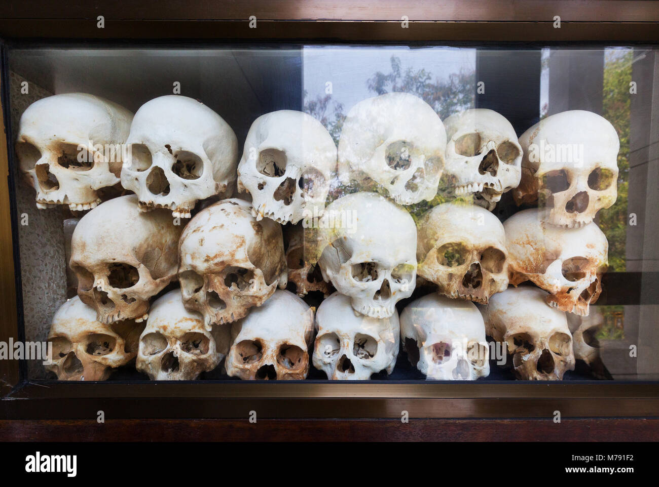 Menschliche Knochen; Schädel der Menschen, die auf den Tötungsfeldern der Gedenkstätte, des Choeung Ek Genozid-Zentrums-Museums, Phnom Penh, Kambodscha, Asien, getötet wurden Stockfoto