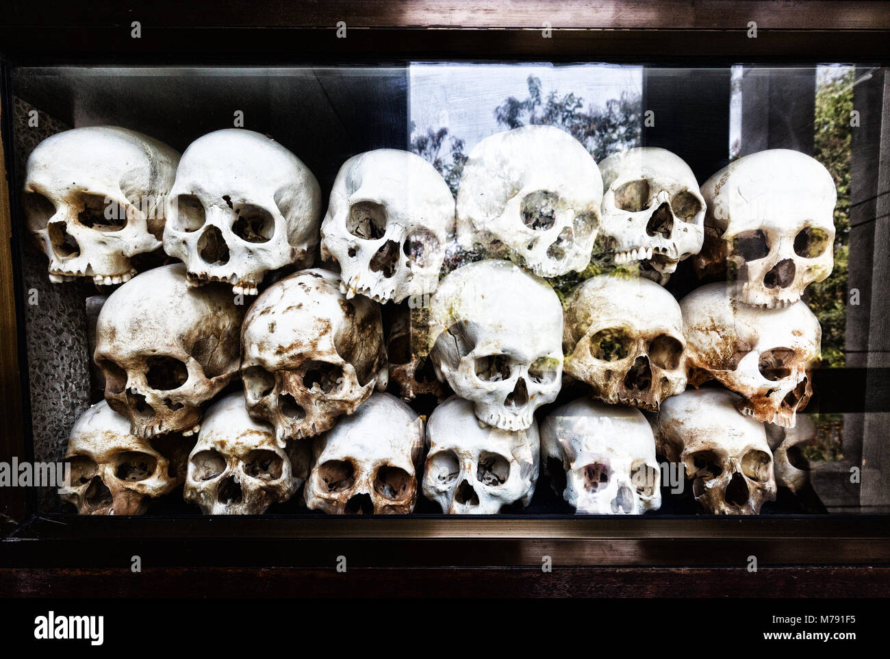 Schädel des Menschen in den Killing Fields an der Gedenkstätte getötet, Choeung Ek Völkermord Center Museum, Phnom Penh, Kambodscha Asien Stockfoto