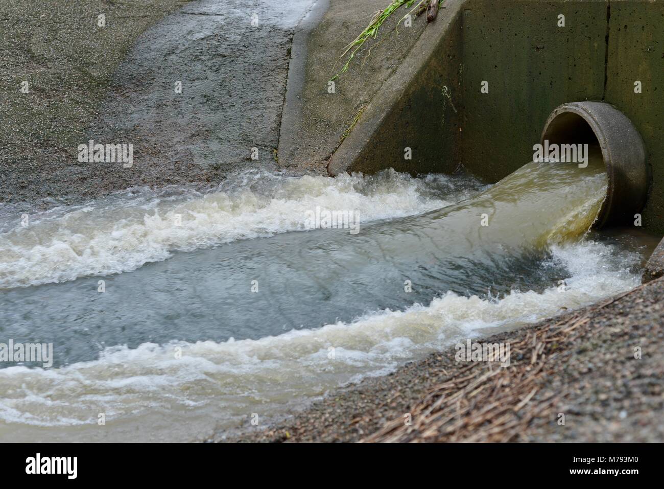 Wasser sprudelt aus einem Sturm Wasser ablassen nach Stürmen und Starkregen, Townsville, Queensland, Australien Stockfoto