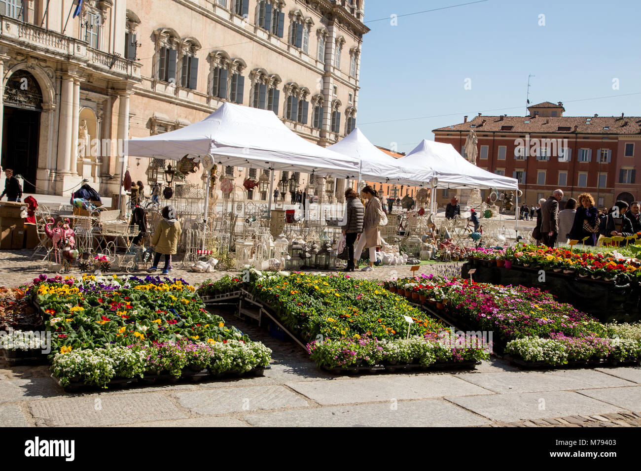 Blumenmarkt in der Piazza Roma Modena Italien Stockfoto