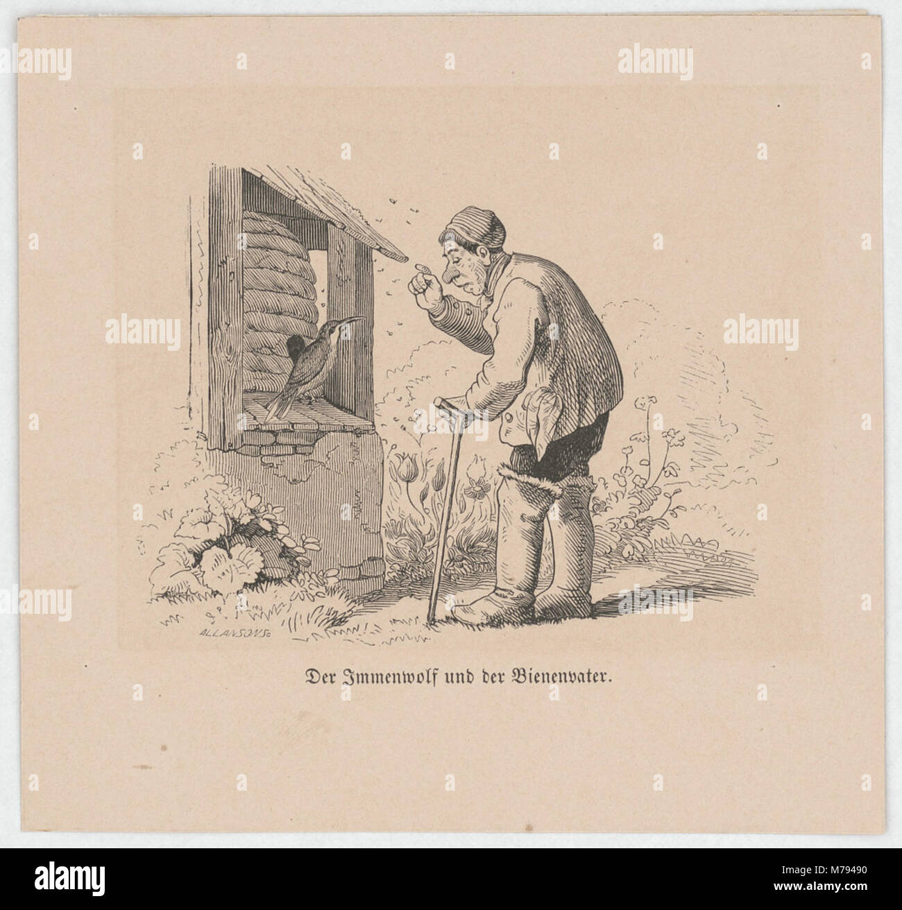 Eine Illustration mit dem Immenwolf und der Bienenvater, übersetzt mit „der Bienenwolf und der Imker“. Das Bild, illustriert von Allanson, spiegelt eine Erzählung oder moralische Geschichte wider, die Natur und menschliche Interaktion umfasst. Stockfoto