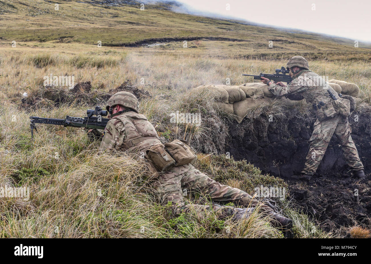 Para ist auf der Zwiebel Bereich MOD 45163586 Stockfoto