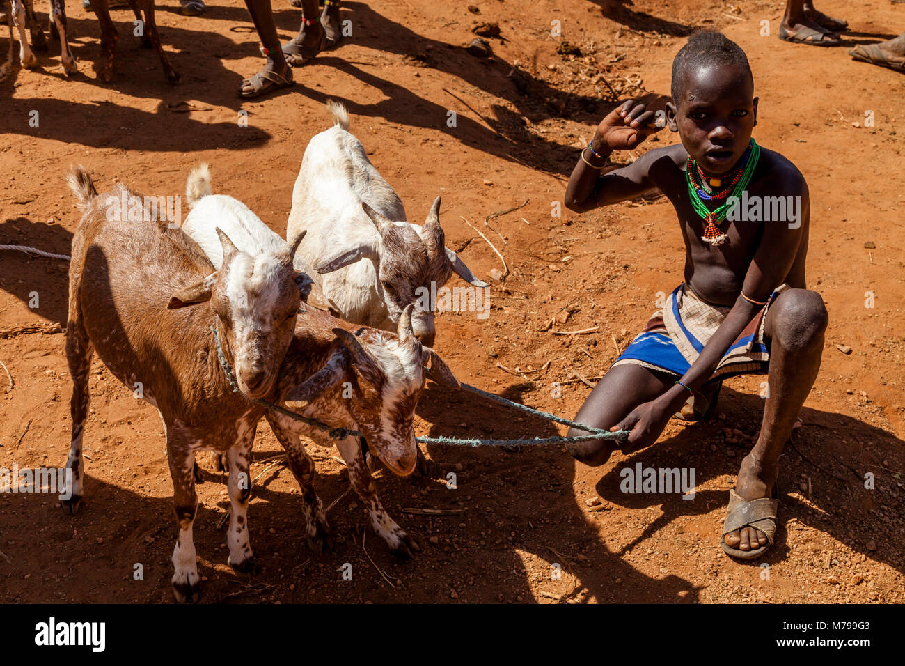 Eine junge Hamar Boy verkauft seine Ziegen bei der wöchentlichen Stammes- Markt in Dimeka, Omo Valley, Äthiopien Stockfoto