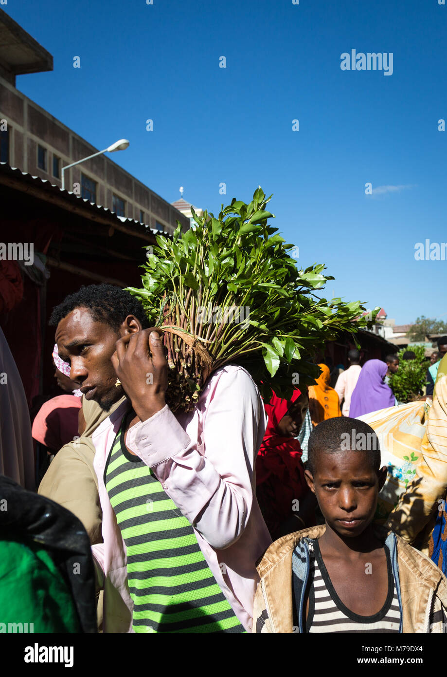 Khat Handel in awaday khat Markt in der Nähe von harar, die khat Hauptstadt der Welt, Harari region, Awaday, Äthiopien Stockfoto