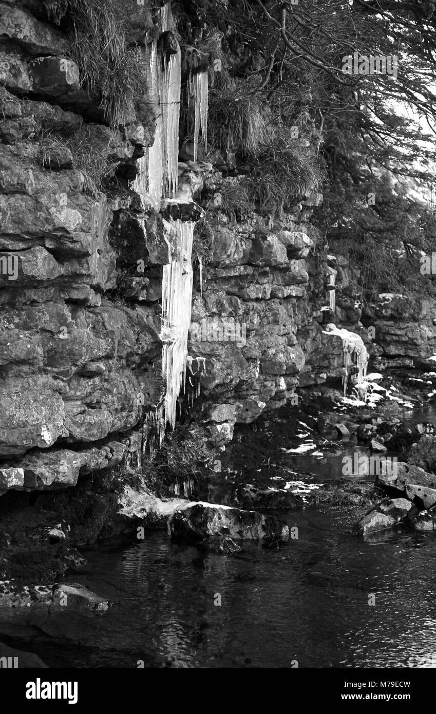 Eiszapfen hängen von den Felsen von Thornton Kraft, Fluss Twiss, Yorkshire Dales, England. Schwarz-weiß Film Foto Stockfoto