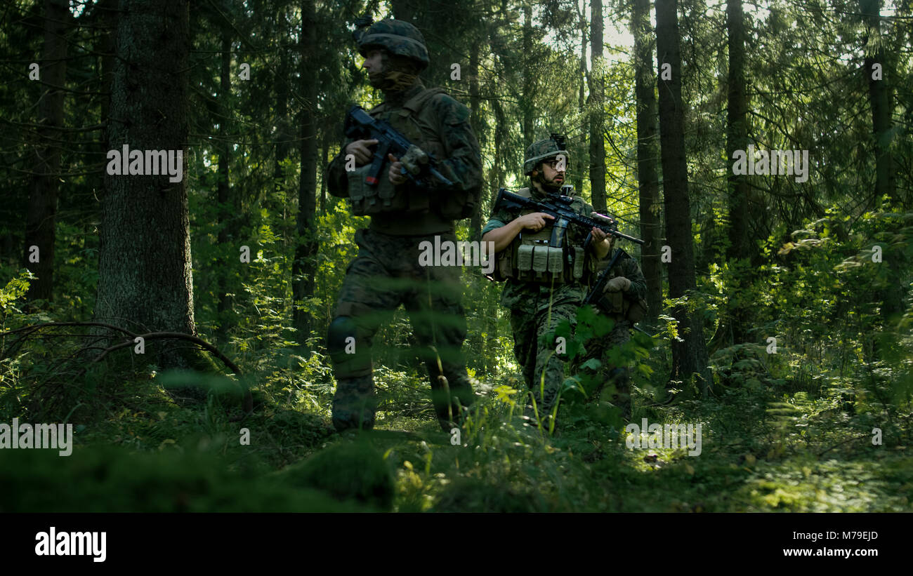 Gruppe von fünf voll ausgestatteten Soldaten auf eine Aufklärung der Bundeswehr. Sie bewegen sich in Formation durch dichten Wald. Stockfoto