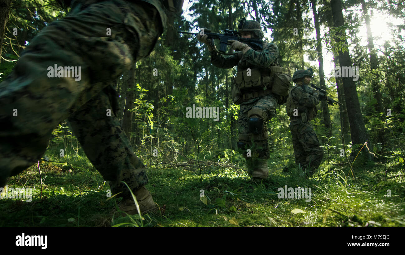 Kader von voll ausgestatteten Soldaten in der Tarnung auf eine Aufklärung militärische Mission, die Gewehre. Sie bewegen sich in Formation durch dichten Wald. Stockfoto