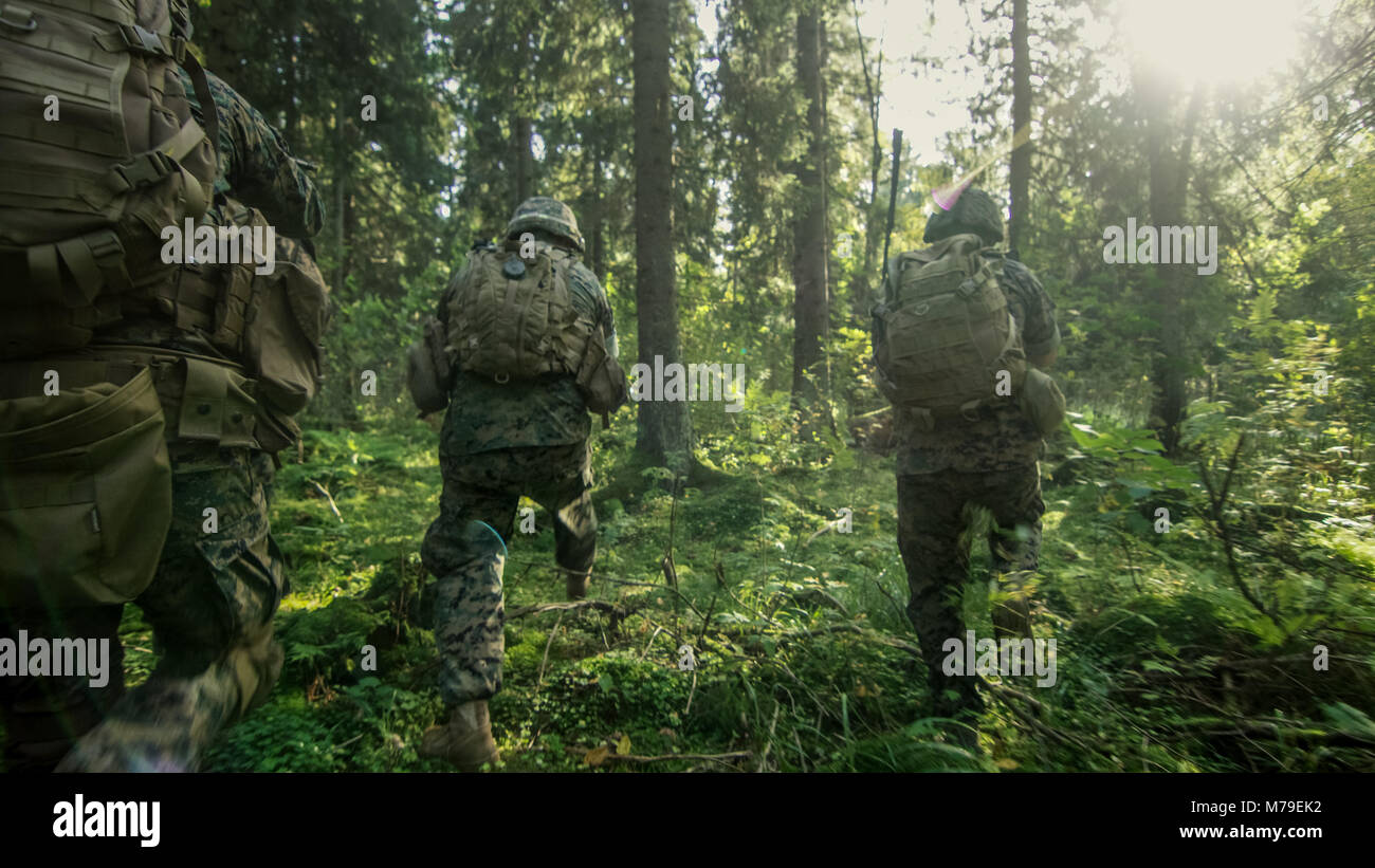 Gruppe von fünf voll ausgestatteten Soldaten in der Tarnung auf Aufklärung militärische Mission, Gewehre bereit. Sie bewegen sich in Formation durch dichten Wald Stockfoto