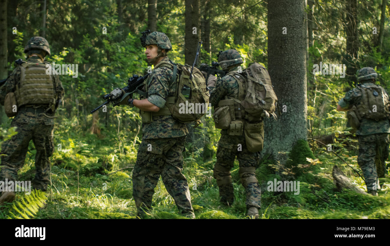 Kader von voll ausgestatteten Soldaten in der Tarnung auf eine Aufklärung militärische Mission, Gewehre in Anschlag. Sie durch den Wald. Stockfoto