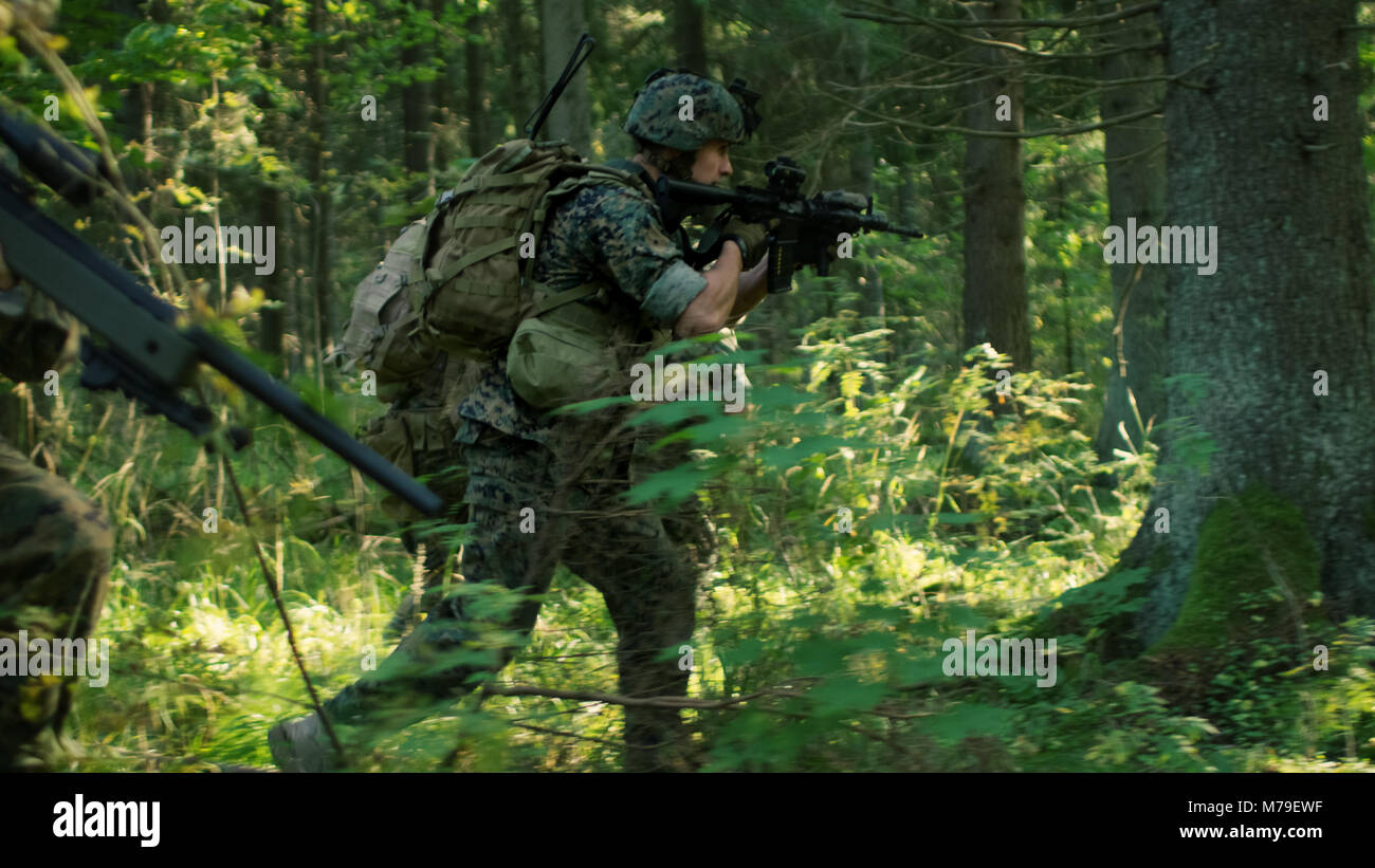 Voll ausgestattete Soldaten tragen Camouflage Einheitliche angreifenden Feind, Gewehre in Anschlag. Militärische Operation in Aktion, Squad, Wald. Stockfoto