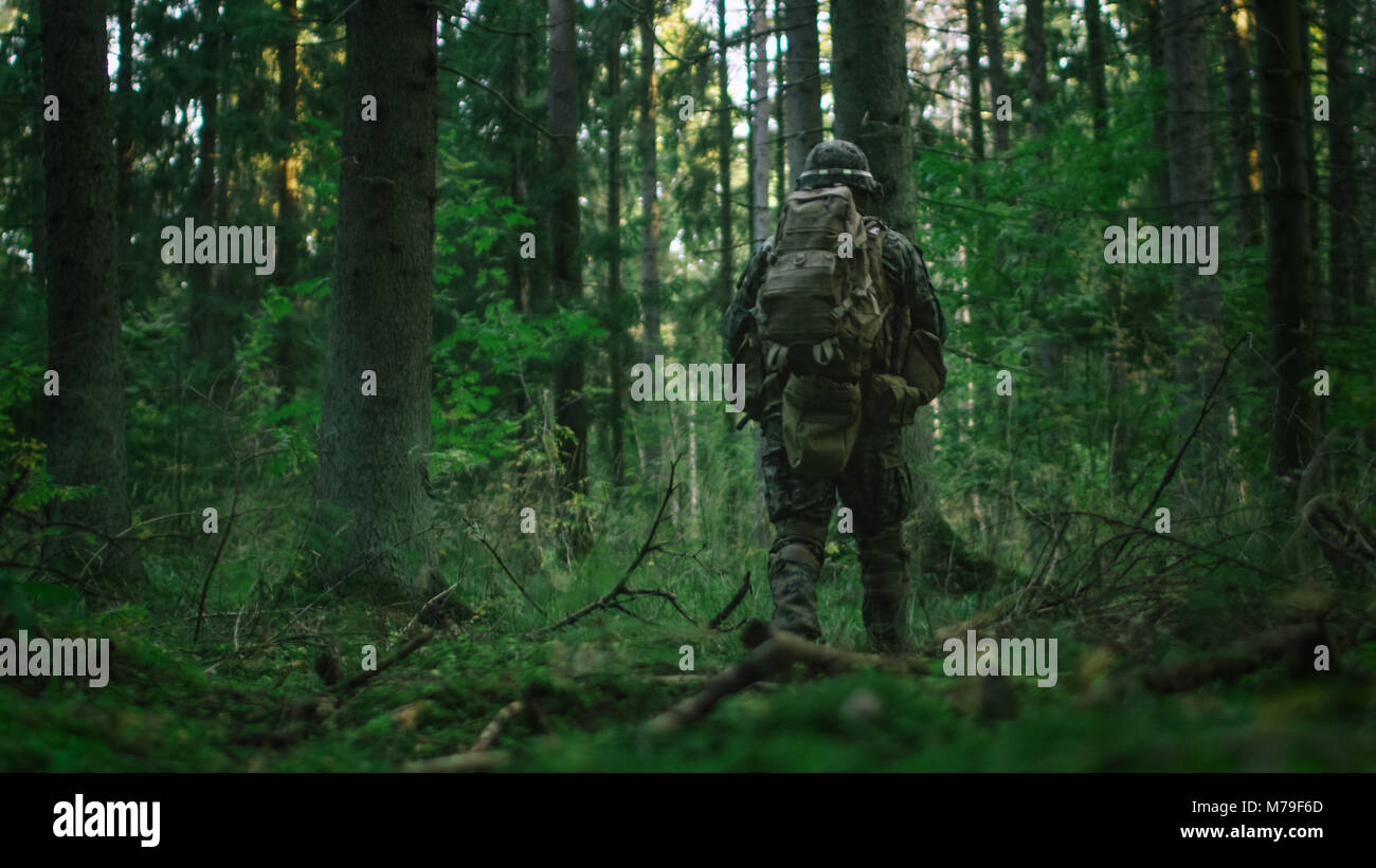 Schuß eines voll ausgestatteten Soldaten weiter in den dichten Wald. Er ist auf dem Luftschiff militärische Mission. Low Angle Footage. Stockfoto