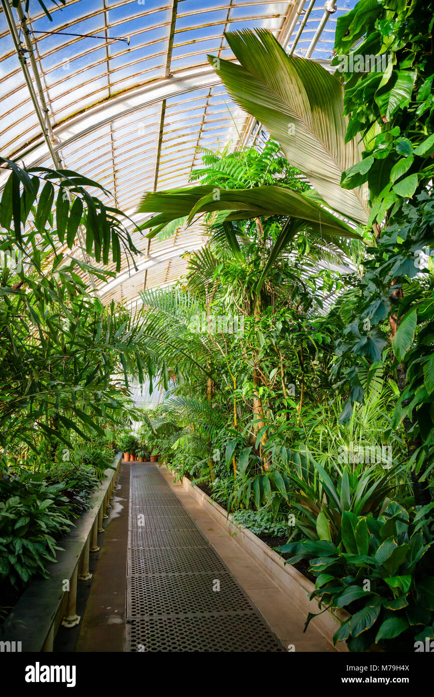 Viktorianische Palm House Gewächshaus Interieur mit exotischen