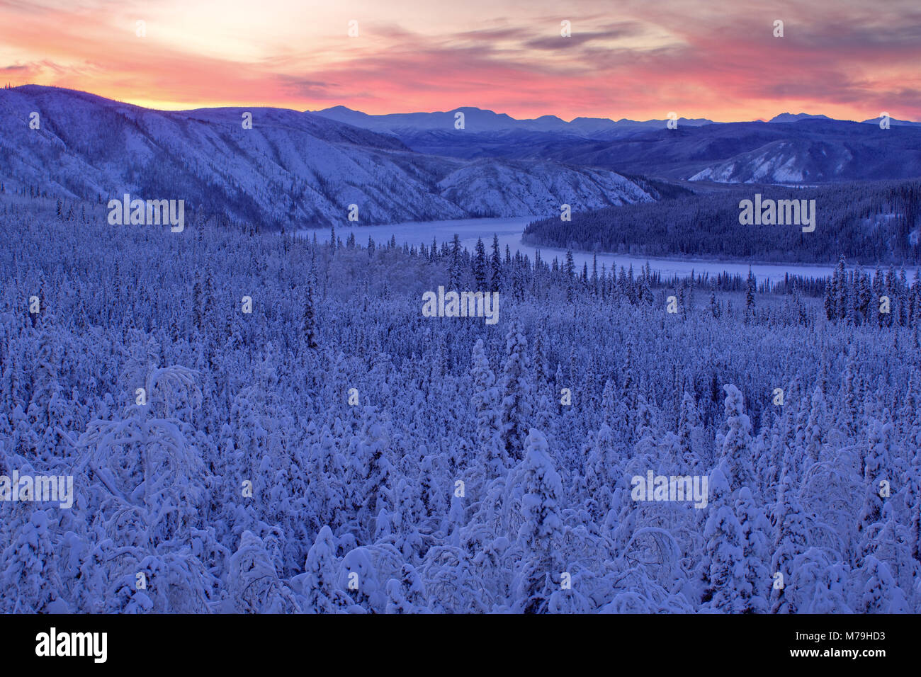 Nordamerika, USA, Alaska, zentrale Alaska, James Dalton Highway, Winterlandschaft, Yukon River, Stockfoto