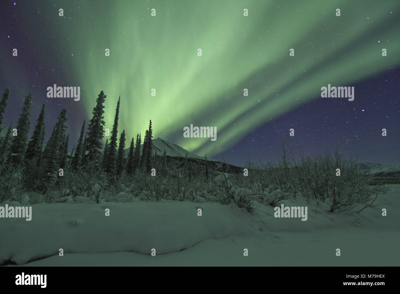 Nordamerika, USA, Alaska, North Alaska, James Dalton Highway, Brooks Range, Nordlicht, Aurora borealis, Stockfoto