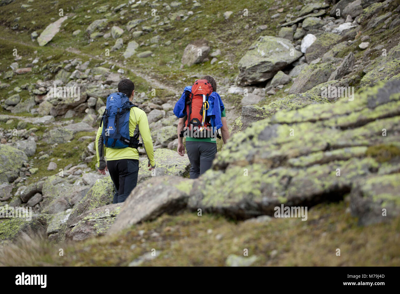 Bergwanderung Fluchtkogel, Ötztaler Alpen, Tirol, Österreich, Stockfoto