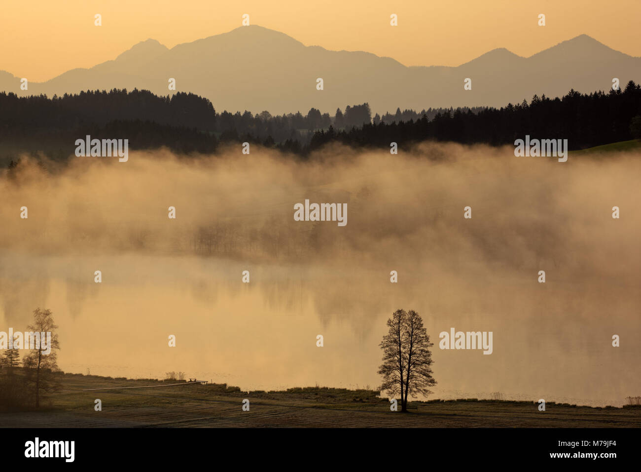 Deutschland, Bayern, Oberbayern, Bad Bayersoien, Pfaffenwinkel region, Soier See, Ammergauer Alpen, Stockfoto