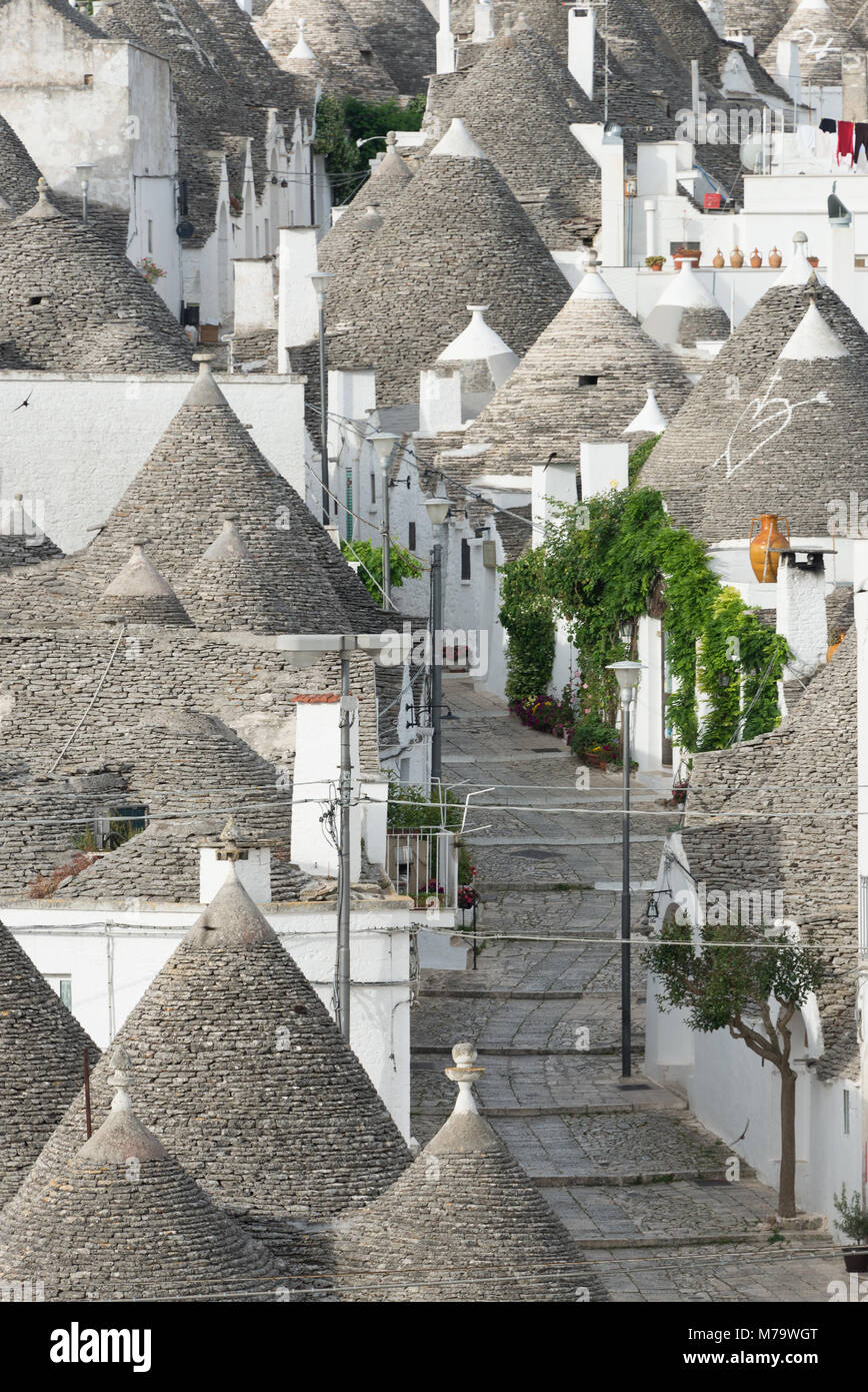 Leere Straße mit traditionellen Trulli mit kegelförmigen Dächer am frühen Morgen in der süditalienischen Stadt Alberobello in Apulien, Italien. Stockfoto