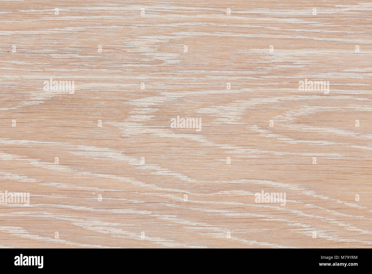 Echte natürliche Holz Textur und Oberfläche Hintergrund. Stockfoto