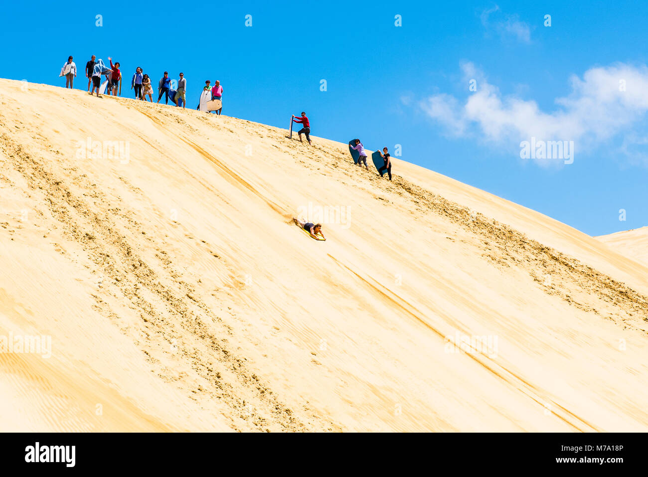 Sand-boarding auf riesigen Dünen, die durch den Te Paki Stream, in der Nähe von Ninety Mile Beach, North Island, Neuseeland Stockfoto