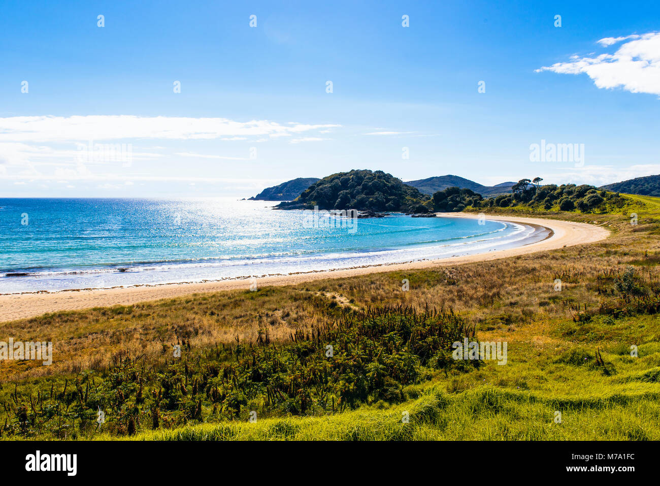 Blick über Maitai Bay auf die Karikari Halbinsel, North Island, Neuseeland Stockfoto