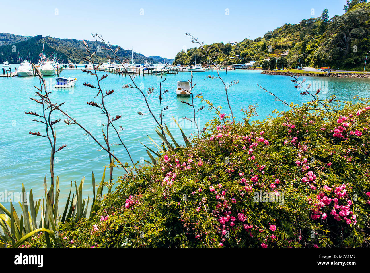 Marina an der Whangaroa, North Island, Neuseeland Stockfoto