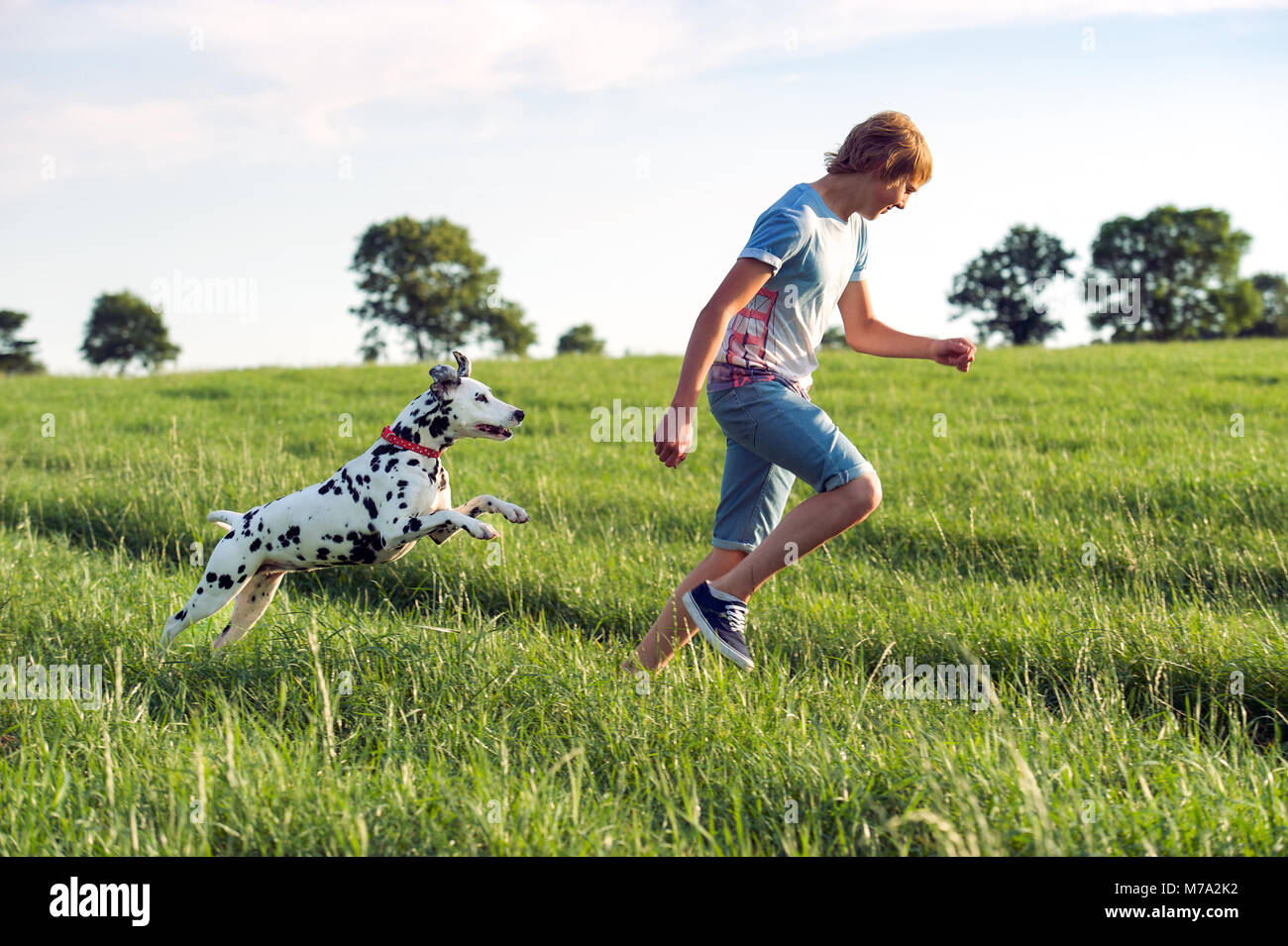Ein Junge läuft über eine Sonne geküsst Feld mit einem Dalmatiner Hund. Stockfoto