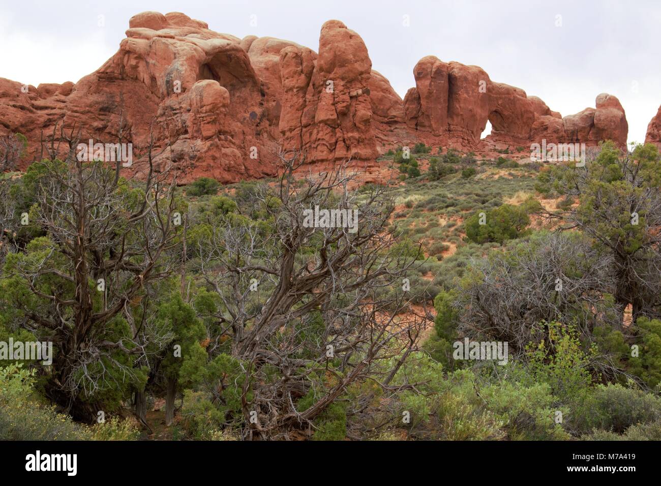 Arches-Nationalpark Stockfoto