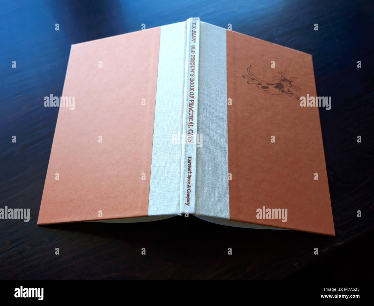 Old Possums Buch der praktischen Katzen von TS Eliot Stockfoto