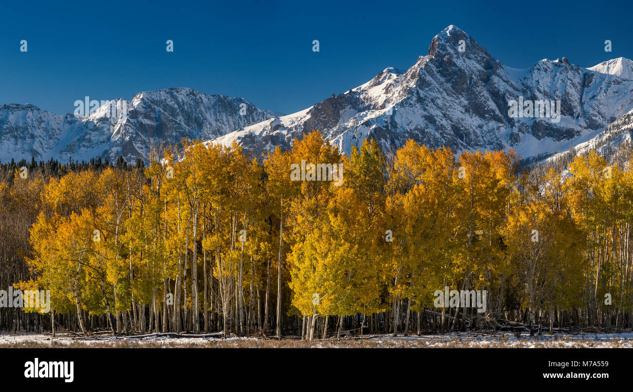 Hayden Peak in Sneffels Strecke unter Schnee, Aspen Grove in Falllaub, Blick von San Juan Skyway National Scenic Byway, in der Nähe von Dallas Divide, San Juan M Stockfoto