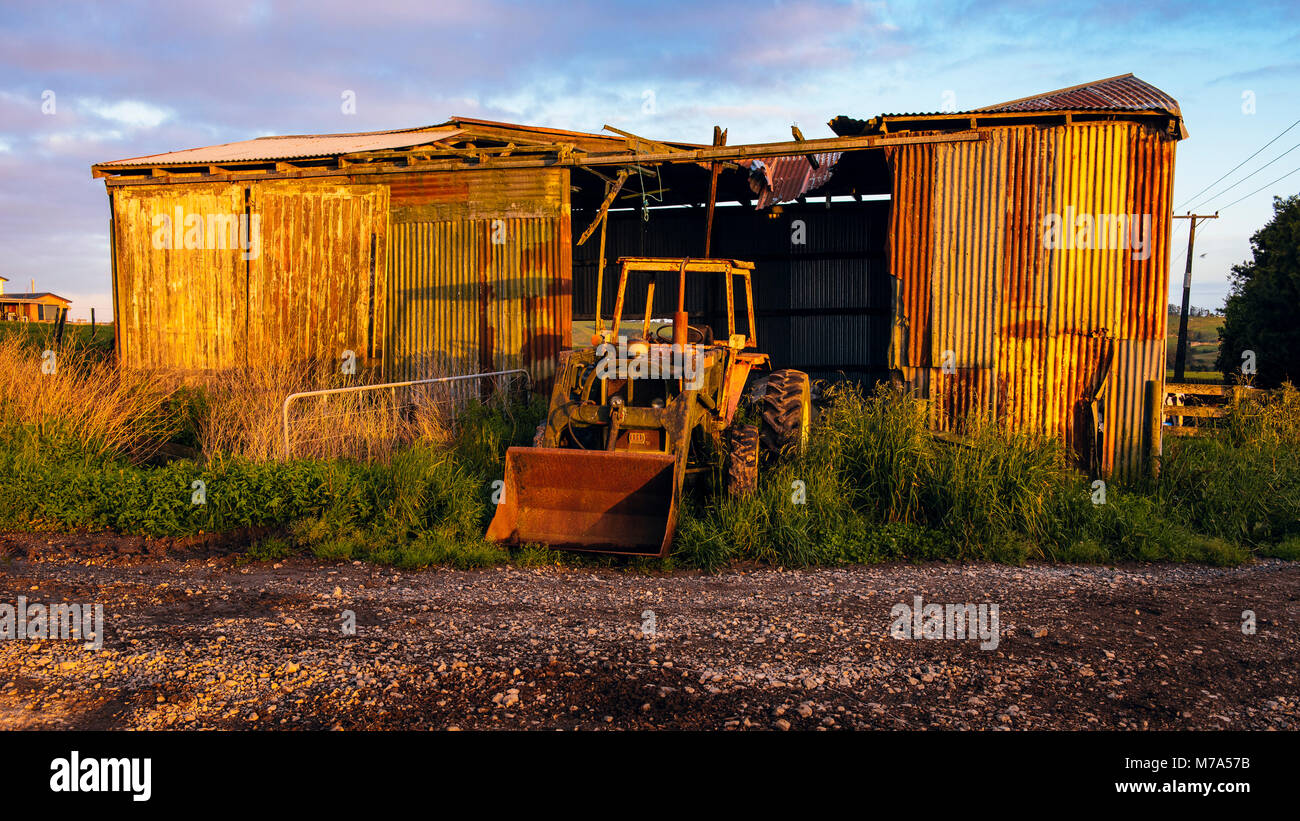 Alte Schuppen und Traktor auf einer Farm in der Nähe von Kerikeri, North Island, Neuseeland Stockfoto