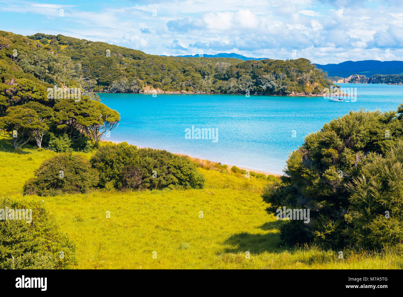 Yachtcharter in Entico Bay auf urupukapuka Island in der Bucht von Inseln, North Island, Neuseeland Stockfoto