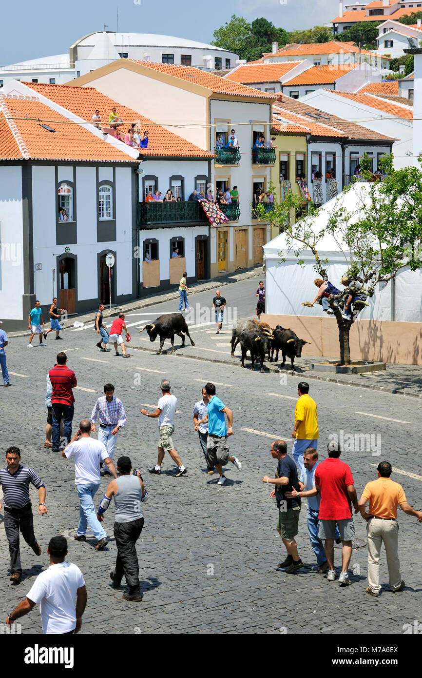 Stierkampf Tag (tourada à Corda). Angra do Delgada, einem UNESCO-Weltkulturerbe. Auf der Insel Terceira, Azoren. Portugal Stockfoto