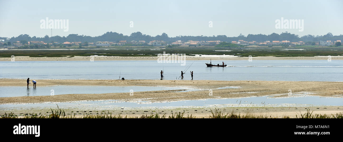 Fischer, die in der Ria de Aveiro, Portugal Stockfoto