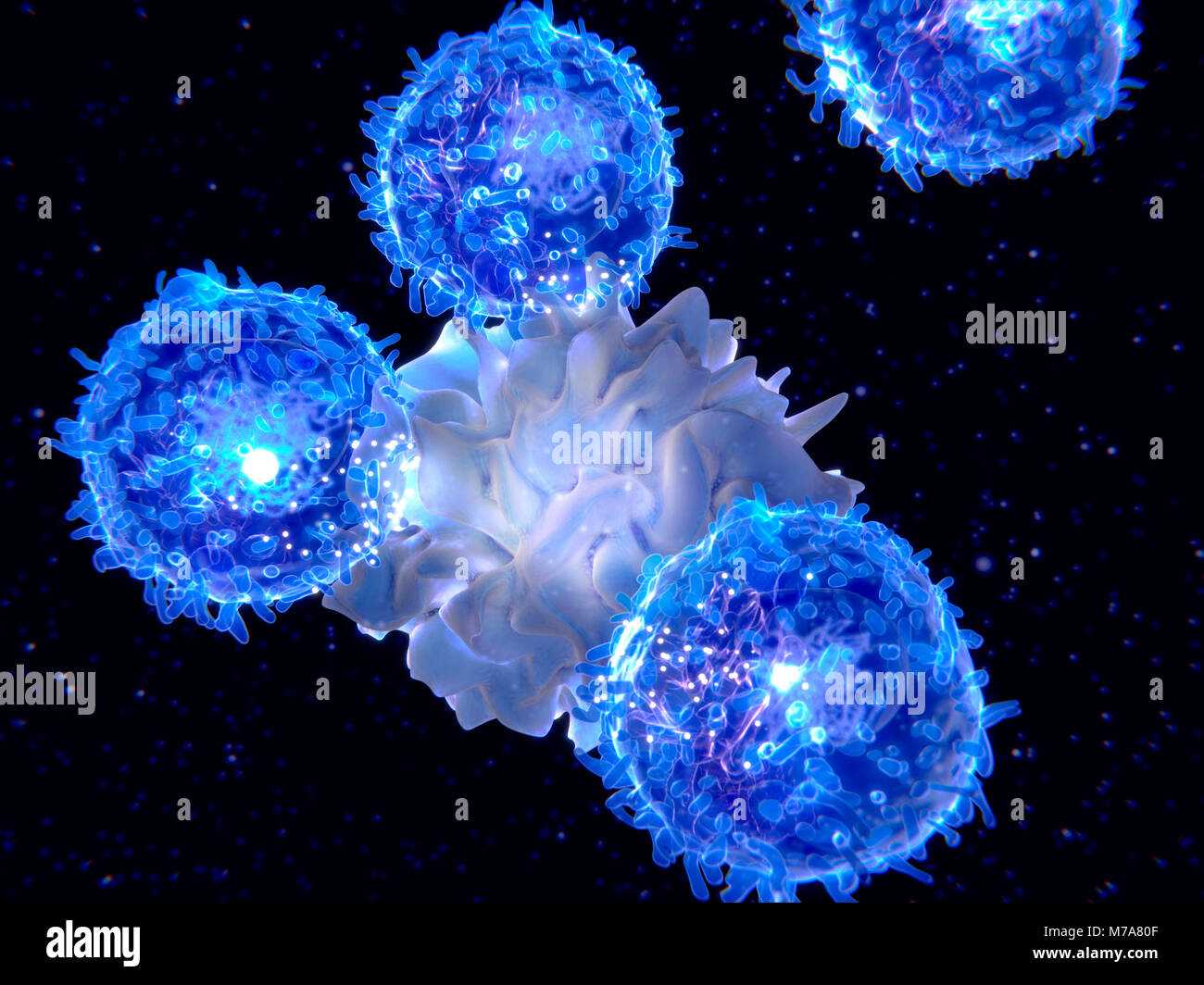 Abbildung einer dendritischen Zelle (Mitte) präsentiert ein Antigen zu T-Lymphozyten. Beide Zellen sind Komponenten des Immunsystems des Körpers. Dendritische Zellen sind Antigen-präsentierenden Zellen (APCs), das heißt, sie Krankheitserreger oder körperfremde Moleküle (Antigene) an andere Zellen des Immunsystems, die beseitigt werden muss. T-Zellen sind durch dendritische Zellen aktiviert eine Immunantwort zu bewirken. Stockfoto