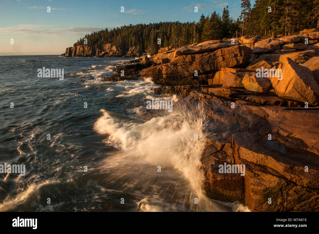 Felsigen Küste in der Nähe von Otter Klippen, Acadia National Park, Maine Stockfoto