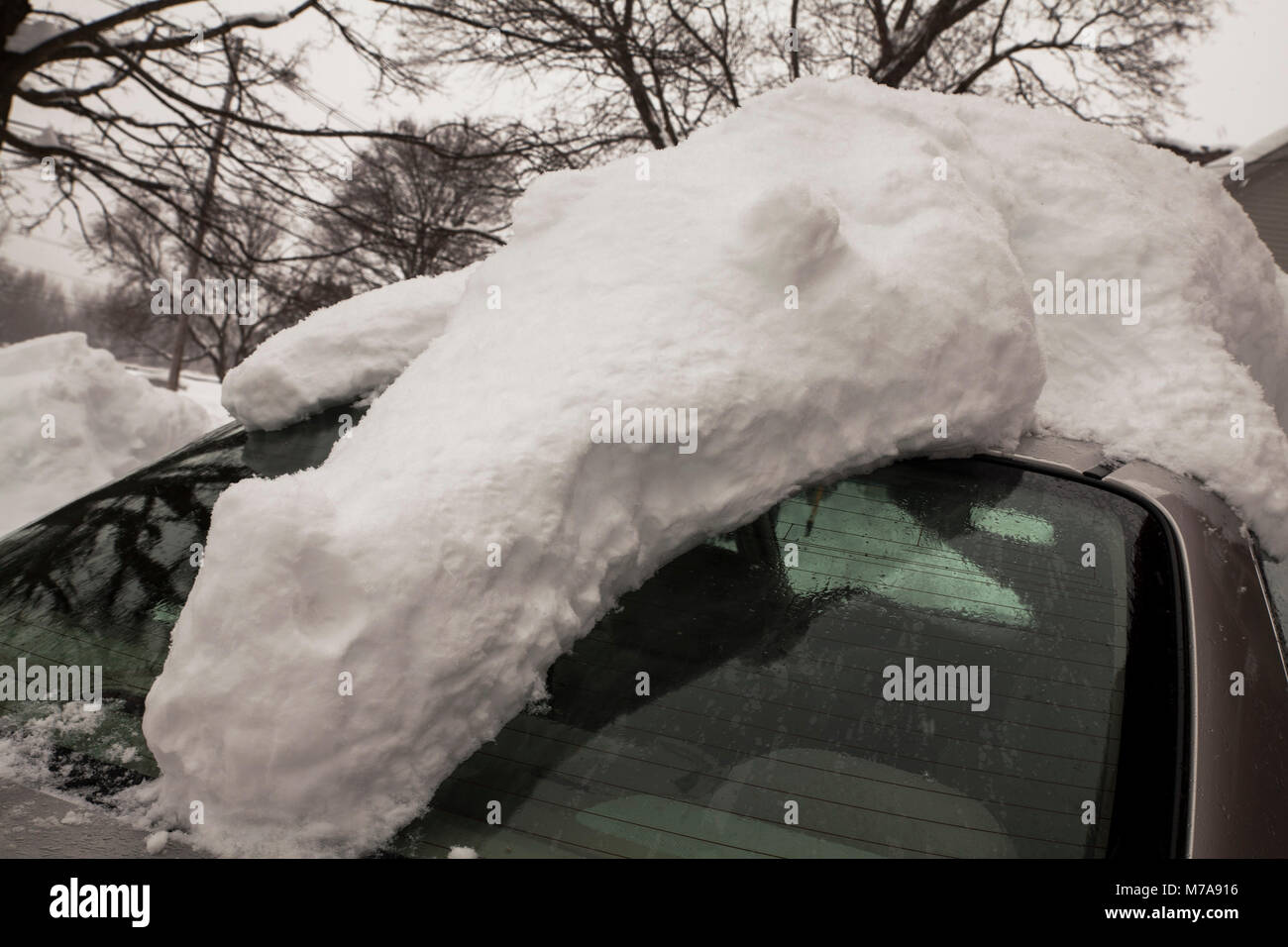 Ein Krokodil Schnee Skulptur Vorhänge über ein Auto nach 25 Zentimeter Schnee fielen. Stockfoto