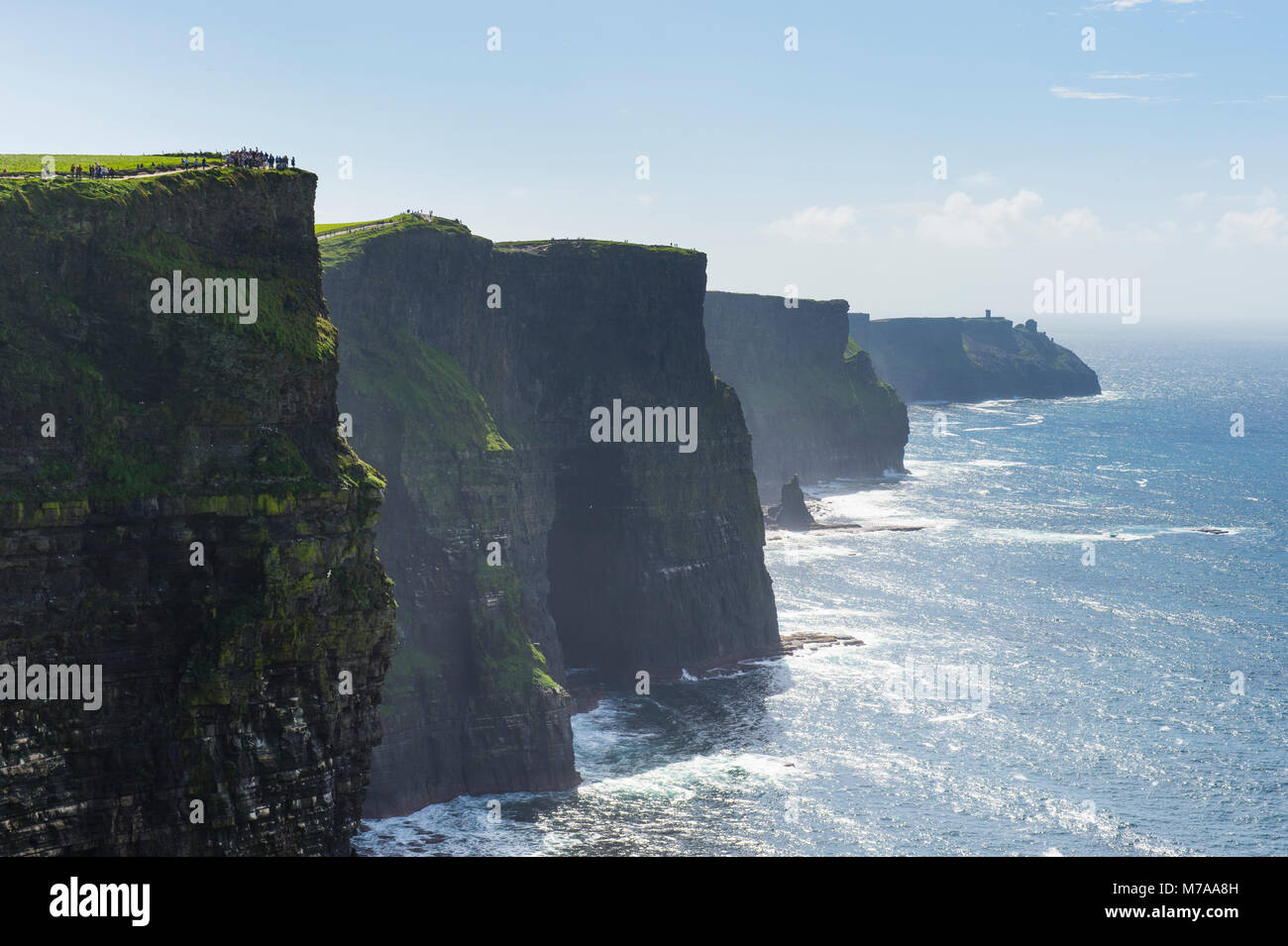 Cliffs of Moher, County Clare, Irland, Vereinigtes Königreich Stockfoto
