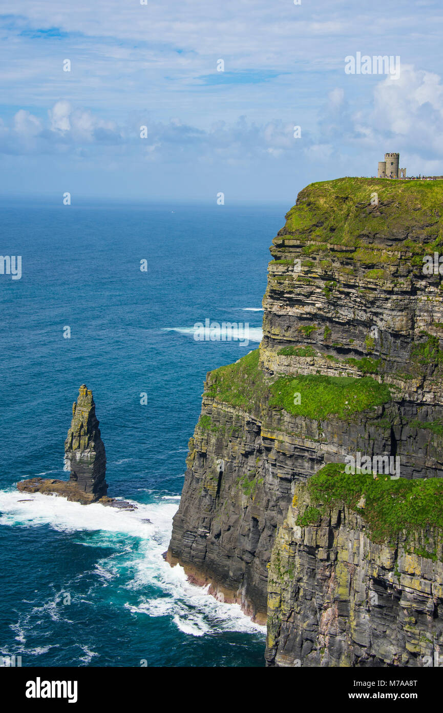 Cliffs of Moher, County Clare, Irland, Vereinigtes Königreich Stockfoto