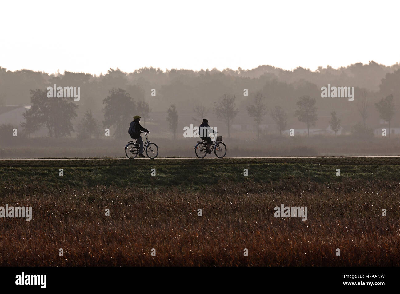 Zwei Radfahrer auf einem Deich, Fischland-Darß-Zingst, morgen Atmosphäre, Nationalpark  Vorpommersche Boddenlandschaft Stockfotografie - Alamy