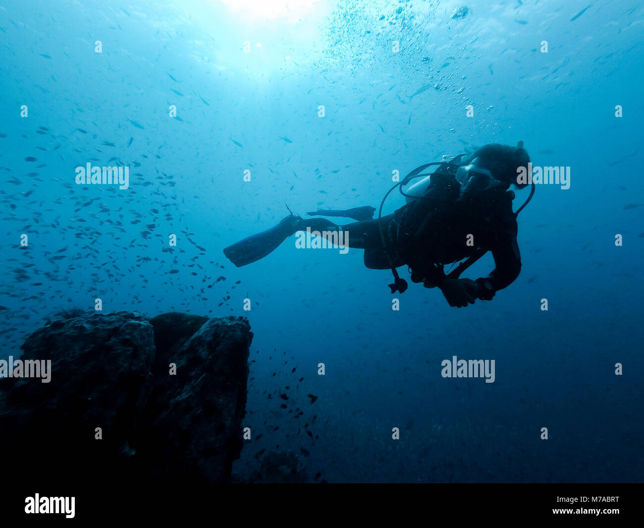 Diver Silhouette im Riff, Ko Lanta Island thailand Stockfoto