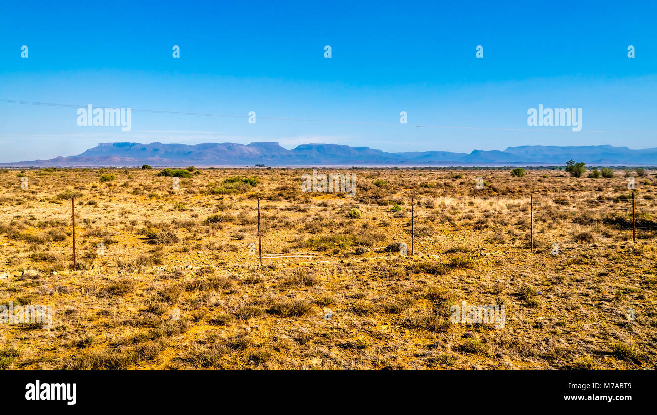 Endlose Weiten, offenen Landschaft der Halbwüste Karoo Region im freien Staat und Provinzen Eastern Cape in Südafrika unter blauem Himmel Stockfoto